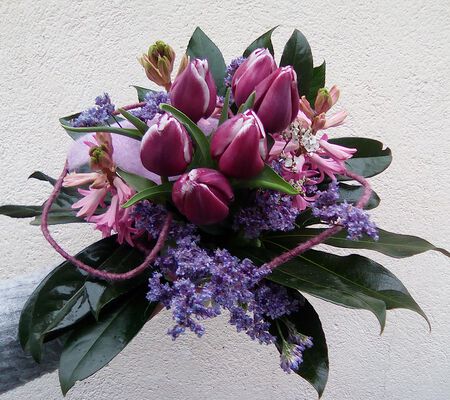 Frühlings Power pink