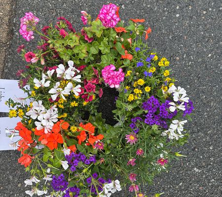kleiner Pflanzkranz Sommer bunt