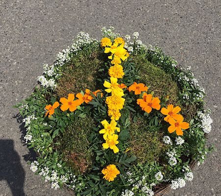 Peace Zeichen als Blume