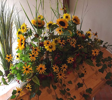 Sonnenblumen Traum September