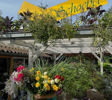 frischer eigener Sommerflor